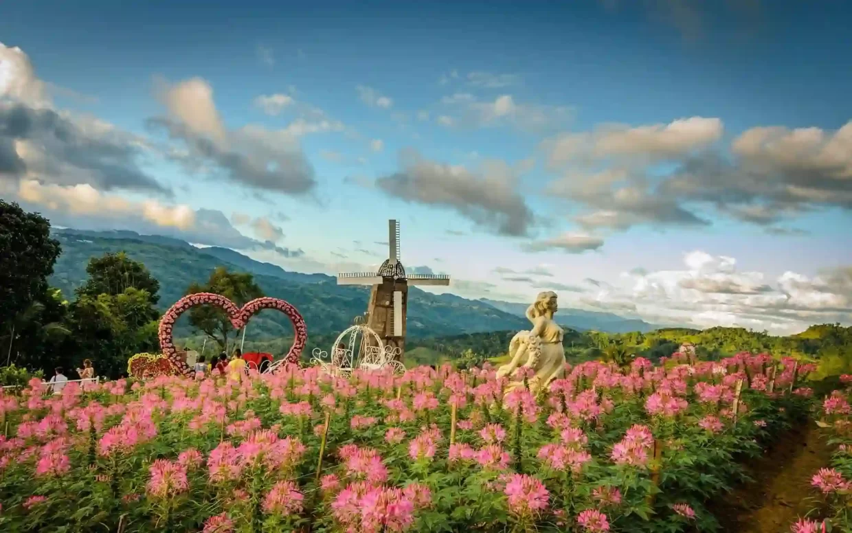 flowers blooming at Sirao Garden