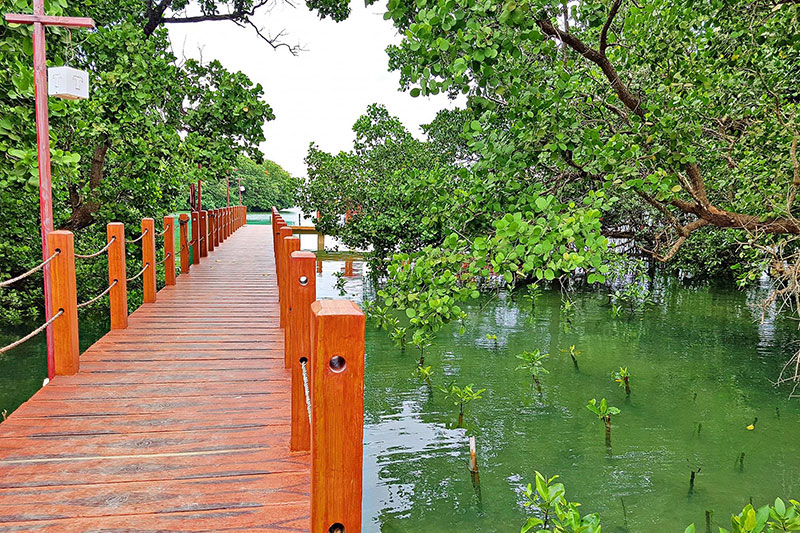 Boracay Mangroves Park