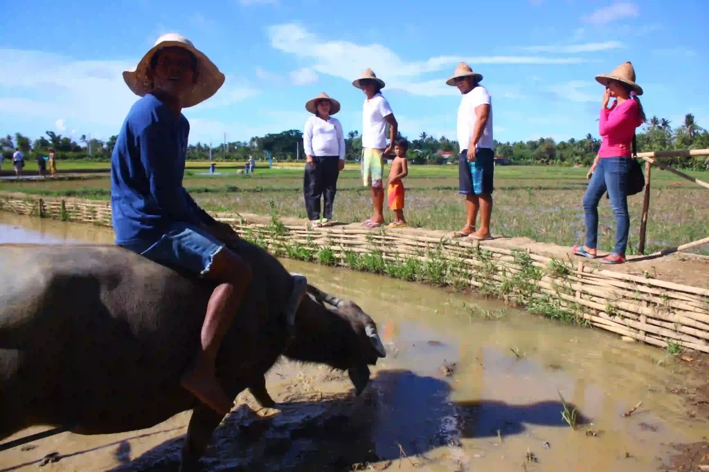 locals showing the life in motag living museum