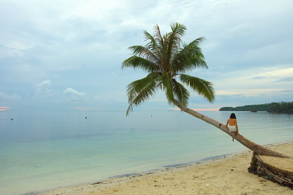 Leaning coconut tree at Bulabog Beach