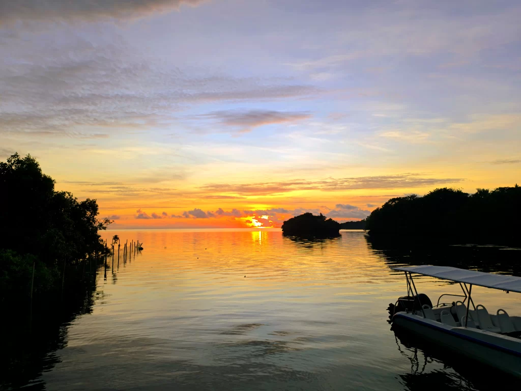 Sunrise by the mangroves at the Tulubhan Beach