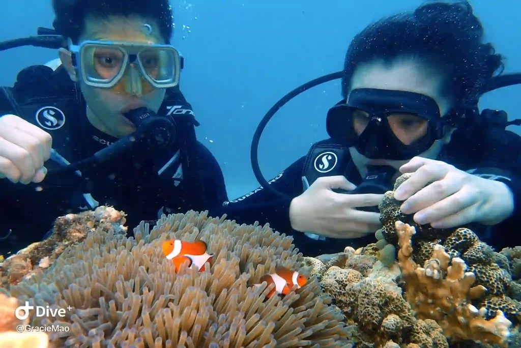 Amazing View Underwater when Scuba Diving